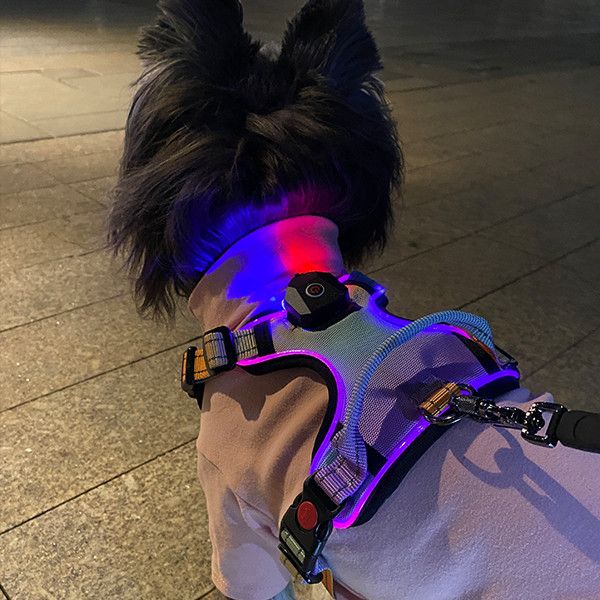 纤宠LED发光胸背狗狗牵引