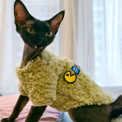 Pico 德文猫无毛猫斯芬克斯衣服新年保暖冬季泰迪绒吃豆人套头衫