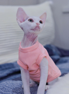 Pico 德文猫衣服无毛猫斯芬克斯衣服华夫格糖果色T恤多色无袖背心