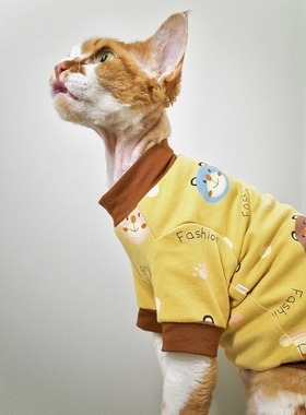 Pico 德文猫衣服无毛猫斯芬克斯衣服春夏季薄款纯棉黄色小熊T恤