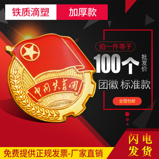 2025新版标准型共青团团徽学生用磁铁强磁别针蝴蝶扣胸针正版批发