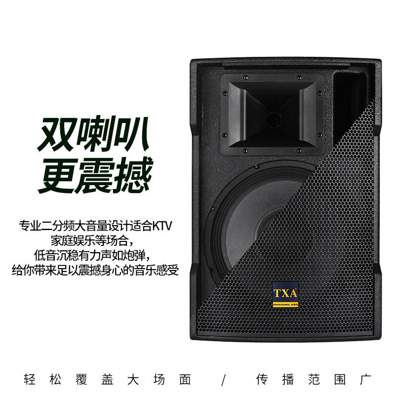 TXA PT12寸专业全频家用KTV音箱婚庆会议户外舞台演出卡拉ok音响