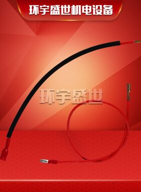 GS/FS10 GS/FS20离子线/离子探针线Riello利雅路RS系列燃烧机专配