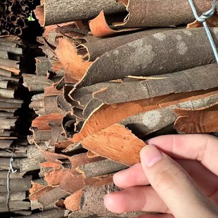 包邮 湖南常德特产纯香桂皮商用家用香薄桂皮干货特色菜调料散装 发