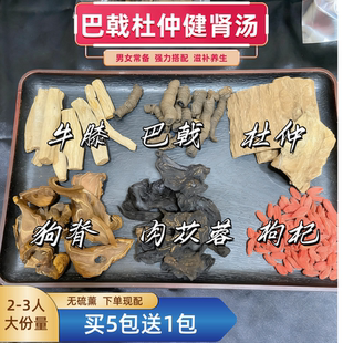 男士巴戟杜仲汤包牛膝肉苁蓉狗脊熬夜党怕冷疲劳腰酸背痛产后恢复