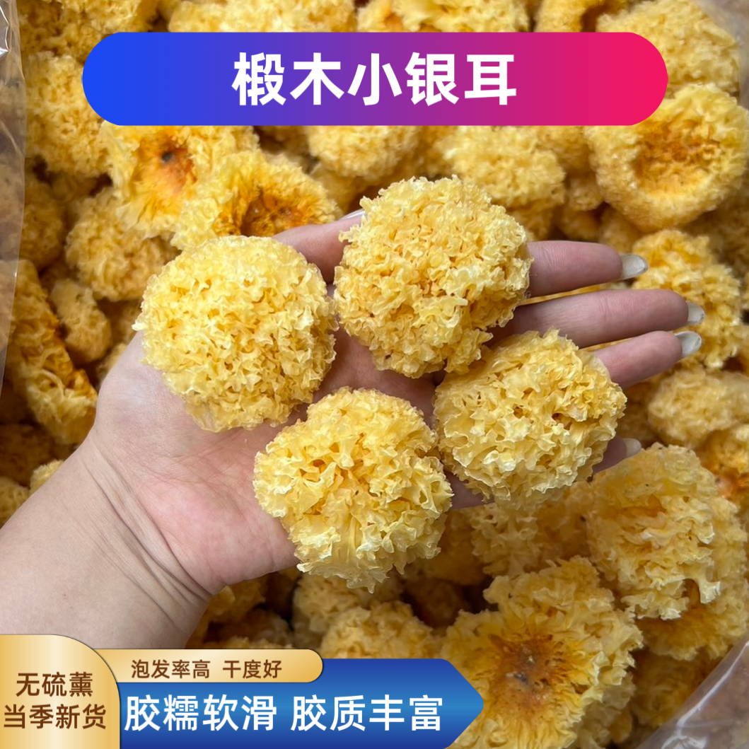 古田椴木小银耳雪耳好喝糖水胶质丰富软糯香甜雪耳白木耳小吊梨汤