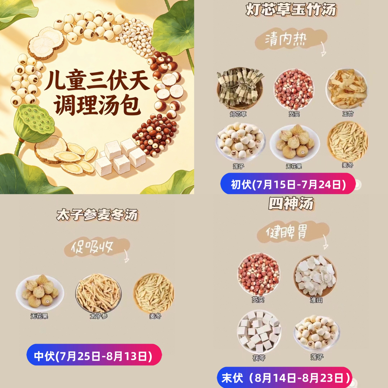 儿童三伏天调理脾胃汤包灯心草太子参麦冬四神汤小儿成长汤养生茶