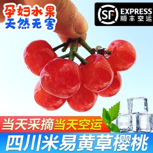 孕妇国产米易樱桃黄草顺丰空运隔日 老品种四川小樱桃新鲜水果当季