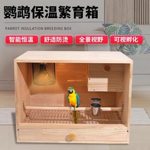 鹦鹉保温箱饲养虎皮牡丹玄凤小太阳育雏手养幼鸟风暖灯暖恒温温控