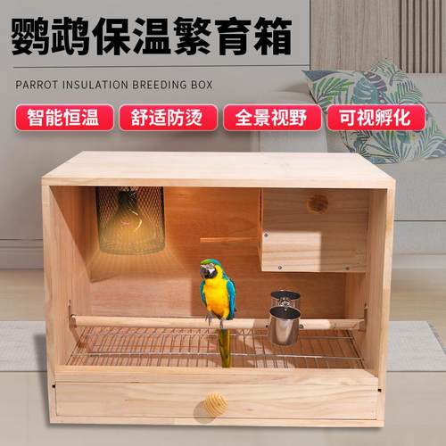 鹦鹉保温箱饲养虎皮牡丹玄凤小太阳育雏手养幼鸟风暖灯暖恒温温控