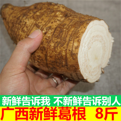 新鲜葛根粉葛葛薯广西藤县和平粉葛农家现挖粉葛葛根 煲汤佳品8斤