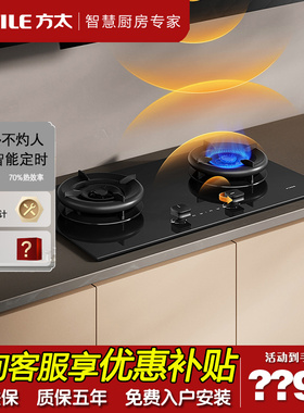 Fotile/方太 02-TE21燃气灶煤气灶定时灶天然液化气灶具家用双灶