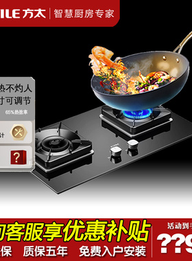 Fotile/方太 TH29B燃气灶煤气灶双灶家用天然气灶台嵌入灶具猛火
