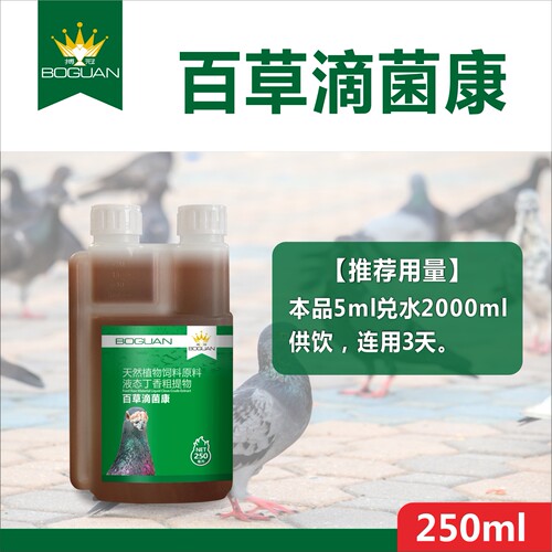 博冠鸽子鹦鹉毛滴虫念珠菌鸽子