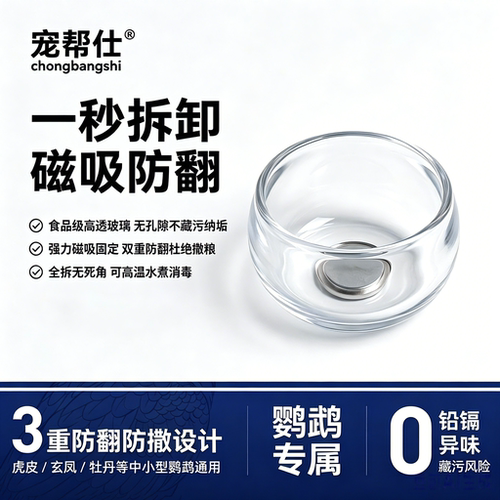 宠帮仕高硼硅玻璃鹦鹉喂食器防溅