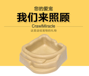 crawlmiracle宠物饮水盆蜘蛛寄居蟹爬虫水盆三角形迷你盆喂食盆
