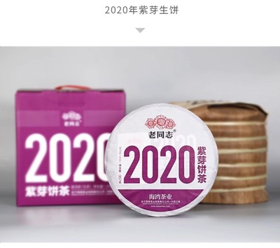 老同志普洱茶 2020年紫芽茶饼 生茶饼 357g 格朗和茶区老树