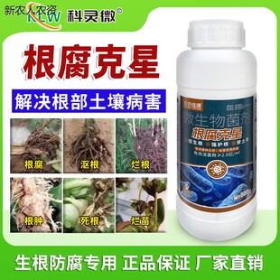 根腐克星根腐死苗壮苗立枯疏松土壤氩基酸水溶肥瓜果蔬菜通用