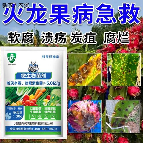 火龙果病专用炭疽病软腐