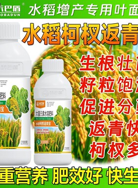 沃巴盾水稻柯枝返青宝生根壮苗提升品质籽粒饱满增产增收叶面肥