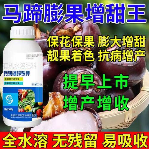 马蹄荸荠增甜肥料钙镁硼