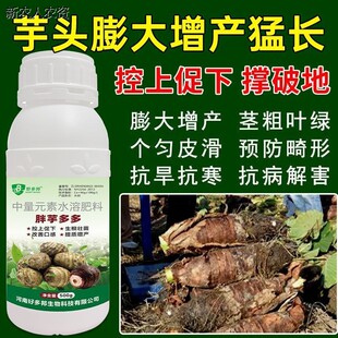 好多邦胖芋多多控苗壮根健壮植株地下猛涨改善品质专用水溶肥