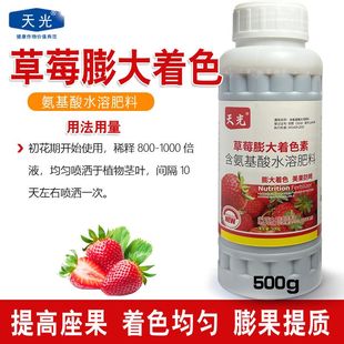 进口草莓膨大剂草莓叶面肥草莓增甜剂特甜特大特红草莓保效灵膨果