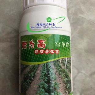 肥力高 花芽分化宝 草莓促进花芽分化花蕾饱满提高坐果减少畸形果