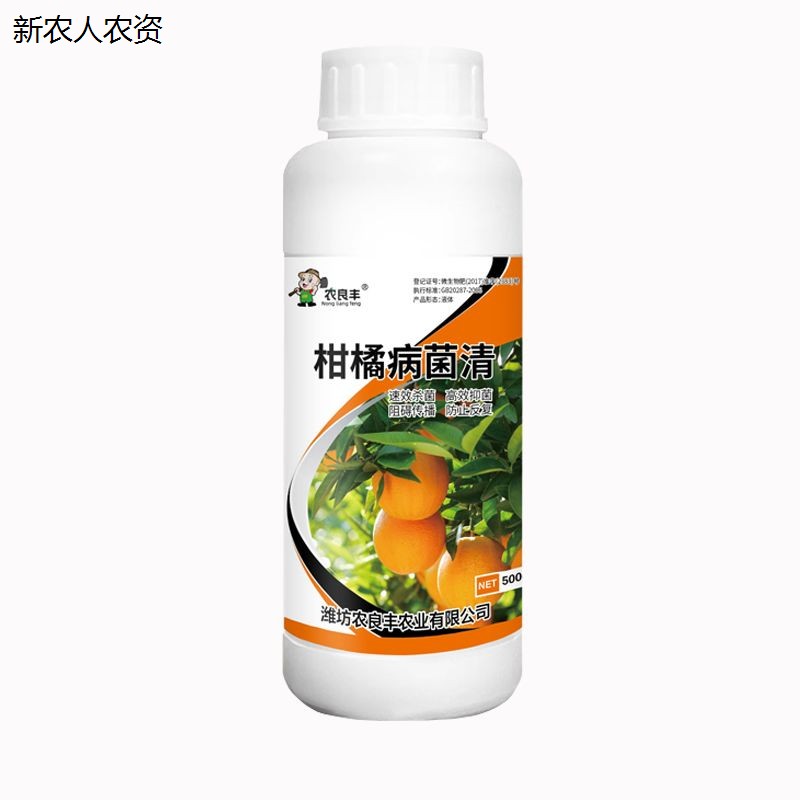 柑橘病菌清橘子柚子橙子