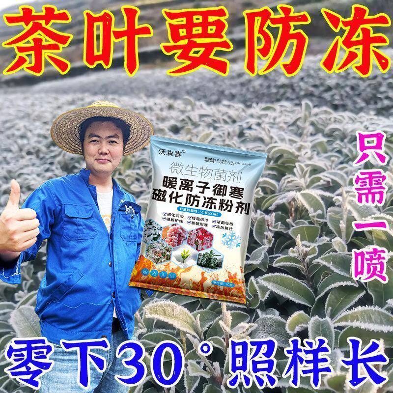 配件定制进口茶树防冻液茶树专用防冻剂叶面肥防冻抗寒抗病增产防