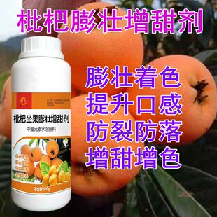 枇杷叶面肥枇杷膨大剂膨大素增甜剂枇杷专用叶面肥保花保果防裂肥