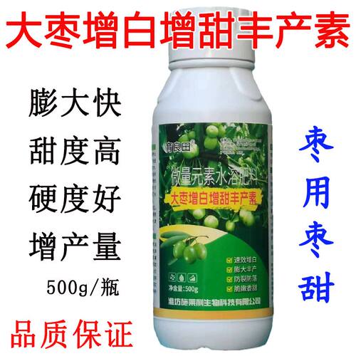 大枣增白増甜膨大素枣树