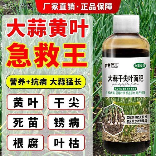 芭宝大蒜干尖叶面肥黄叶