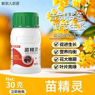 桂花枯叶病黄叶焦叶尖干叶虫孔叶斑病落叶专用肥桂花树肥料菌立清