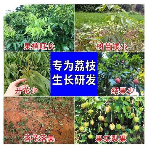 荔枝专用钙镁硼锌铁叶面