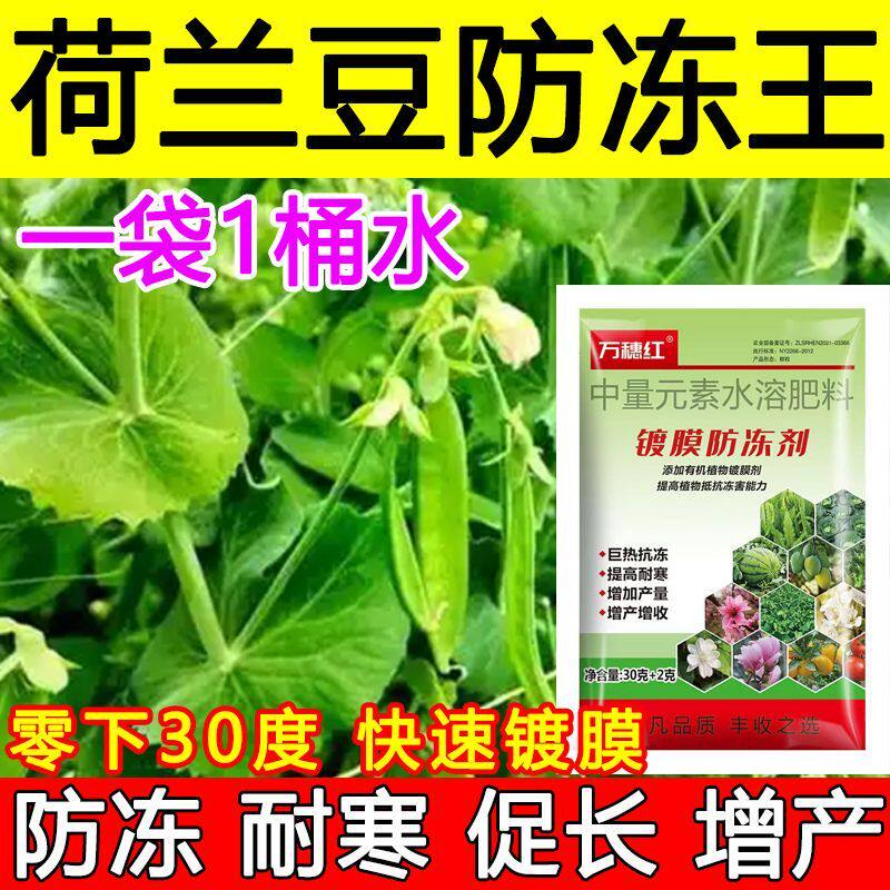 荷兰豆防冻剂叶面肥荷兰豆防冻液肥料增产抗冻耐寒蔬菜果树防冻肥
