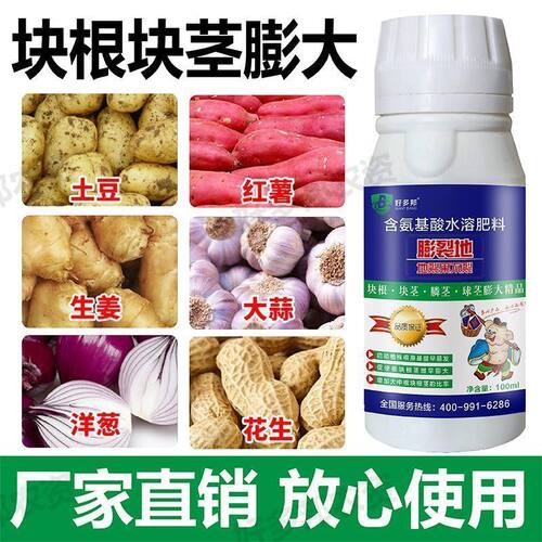膨裂地药材果实饱满光亮