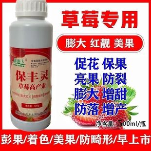 草莓专用拉长膨大肥料叶面肥增产增甜剂特甜特大特红保效灵膨果