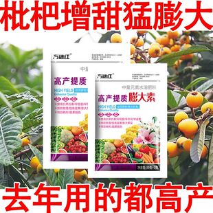 枇杷专用叶面肥枇杷膨大增甜剂枇杷保花保果促进授粉专用肥
