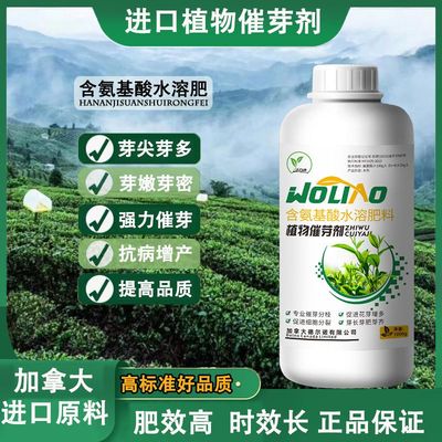 进口催芽剂茶叶专用叶面