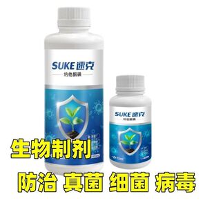 速克果树白粉灰霉增效助剂蔬菜大棚种植杀菌剂复配增效微生物菌剂