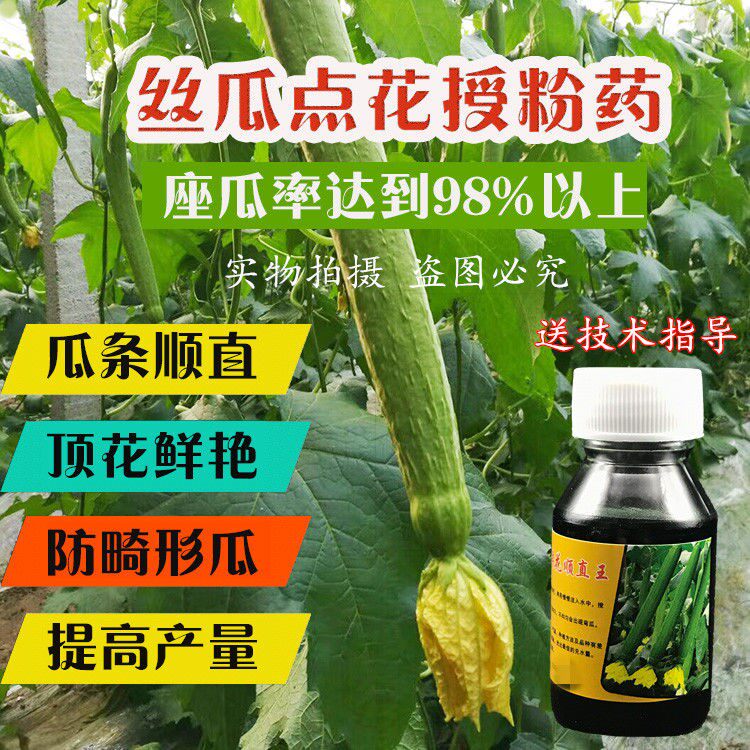 丝瓜点花药授粉药丝瓜鲜花顺直王坐果乐瓜条拉直座果灵蘸花药50ml