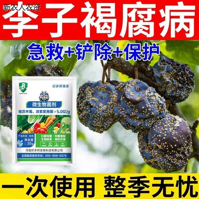 李子杀菌去病防治黑斑叶