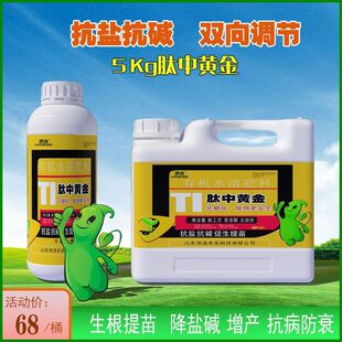 盐碱地土壤改良剂专用肥料抗盐碱克星生根提苗促生长增产活化土壤