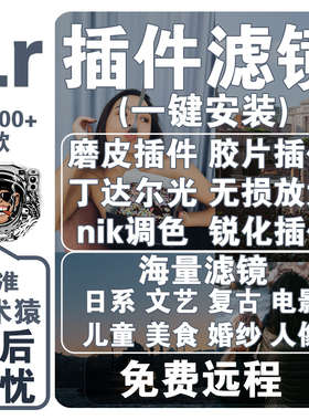 lr预设插件全套lightroom滤镜日系胶片美白调色中文win/mac