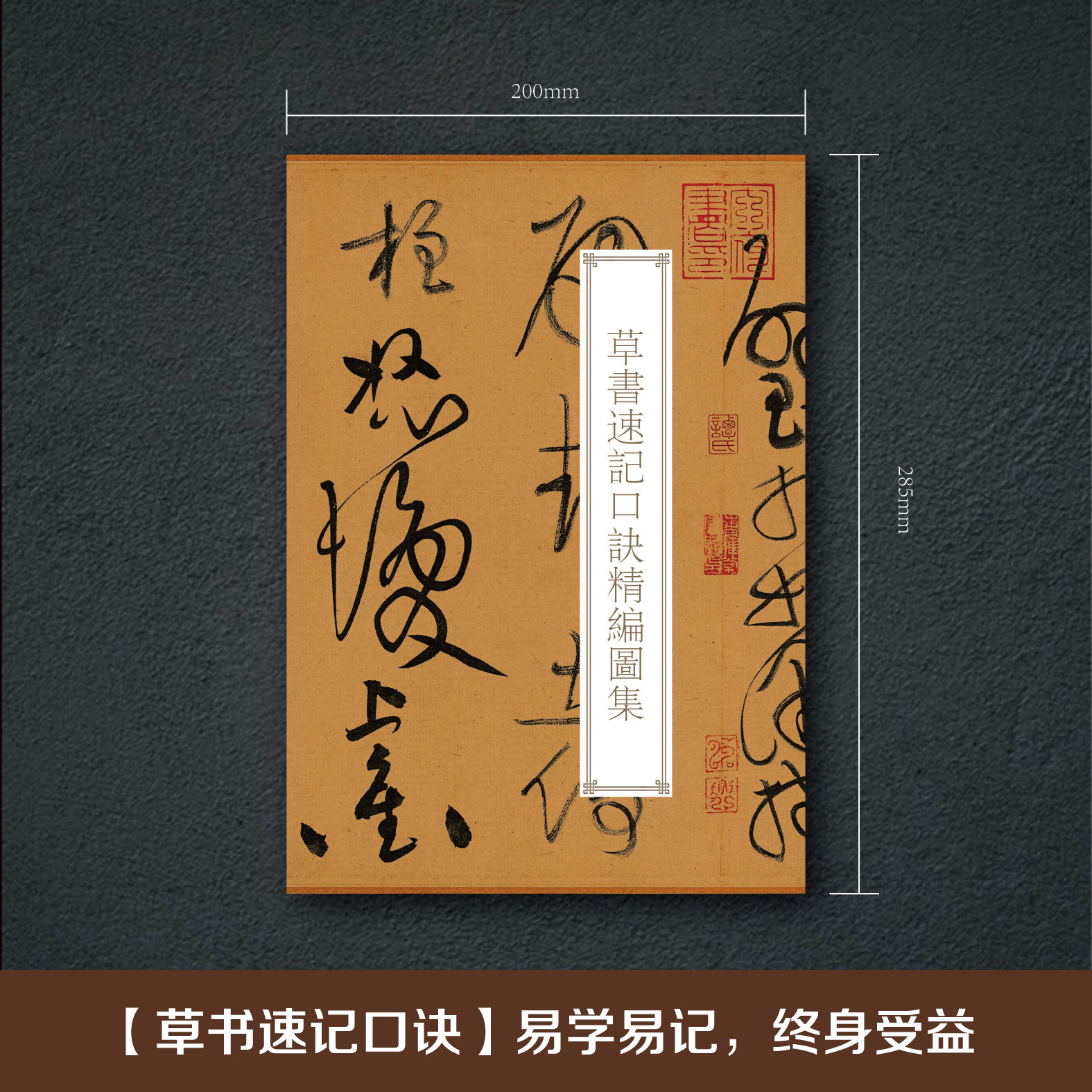 草书入门速记口诀练字临摹帖