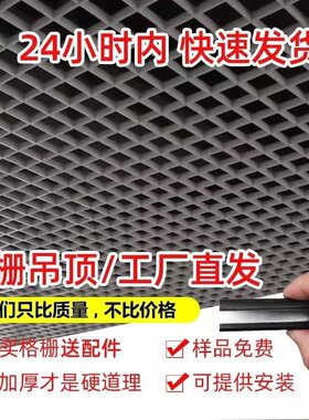 铝格栅吊顶江浙沪安装葡萄架网格