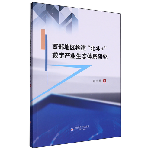 西部地区构建“北斗+”数字产业生态体系研究