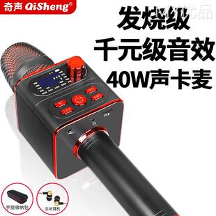 Qisheng 奇声 K89奇声专业声卡音响话筒一体麦克风家用电视手机蓝