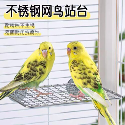 鹦鹉站台休息平台不锈钢站网